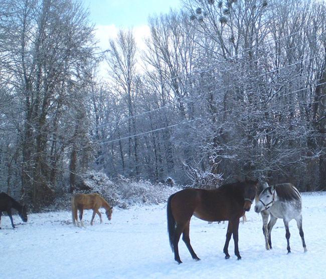 Hotel Czajlik Ranch Jahodná Exteriér fotografie